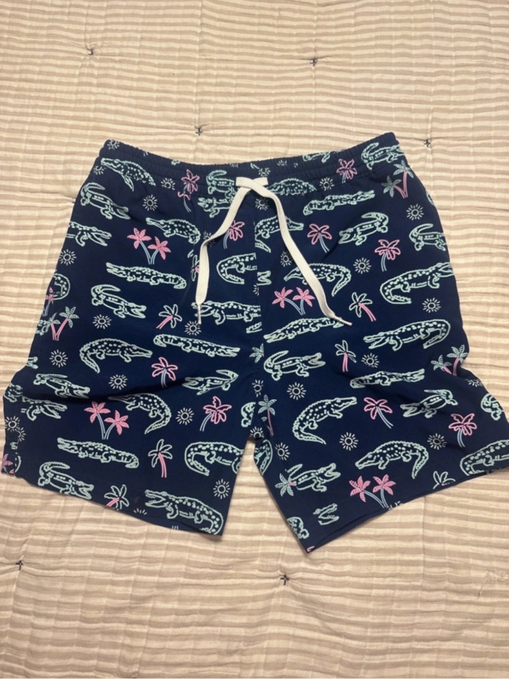 Boys’ Chubbies Size L Swim Trunks Lined